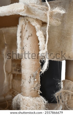 Used cat scratching post. Old cat tower.