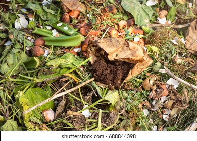 Used Coffee Grounds On A Compost