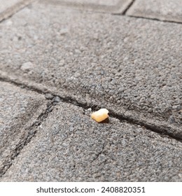 Used corn kernels are on the bricks.