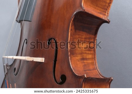 Used and dusty cello, detail, strings, soundhole, curve, bridge.