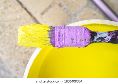 Used flat decorator brush  covered with dry violet chalk and wet yellow color. Closeup - Powered by Shutterstock