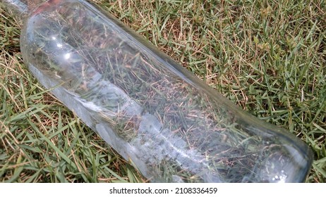 used glass bottles on the grass