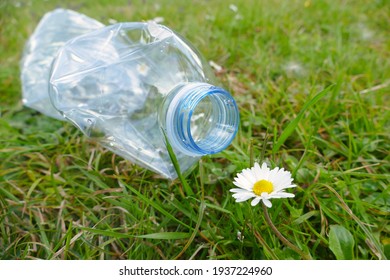 Used Plastic Bottle On Green Grass Near A Daisy Flower. Save The Earth By To End Plastic Waste Pollution. Global Warming