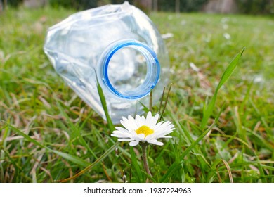 Used Plastic Bottle On Green Grass Near A Daisy Flower. Save The Earth By To End Plastic Waste Pollution. Global Warming