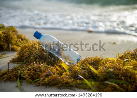 A used plastic water bottle sits on a bed of sargassum seaweed washed onto a tropical beach, highlighting the worldwide crisis of plastic pollution on even the most remote islands