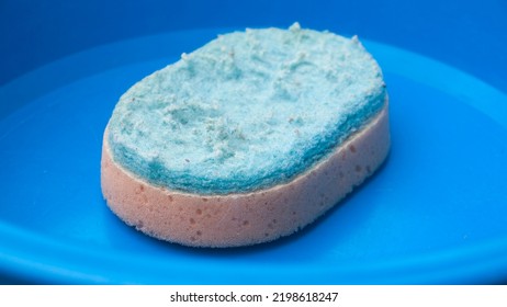 Used Sponge In Plastic Basin