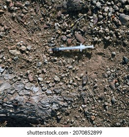 Used Syringe And Needle On The Ground Beside A Tree. 