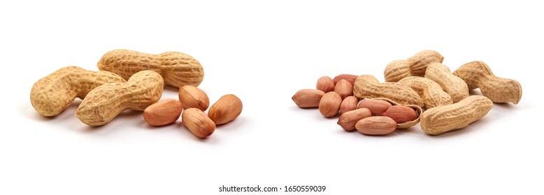 Useful Peanut, Isolated On White Background.