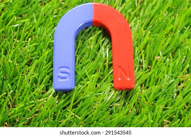 U-shaped magnet