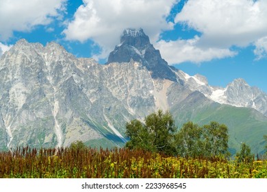 Ushba mountain is one of the most notable peaks of the Caucasus Mountains. It is located in the Svaneti region of Georgia. - Shutterstock ID 2233968545