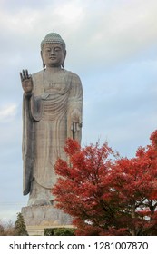 Ushiku Daibutsu Ibaraki Japan