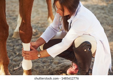 Using bandage to heal the leg. Female vet examining horse outdoors at the farm at daytime. - Powered by Shutterstock