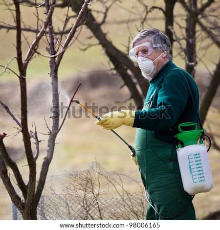 Using Chemicals Gardenorchard Gardener Applying Insecticidea Stock