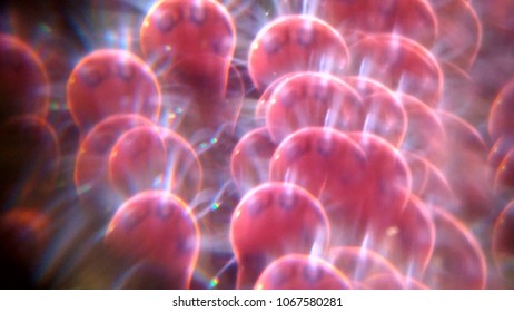 using crystal as filter