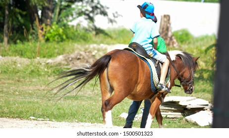 Using Horses For Psychotherapy Or Paresthesia