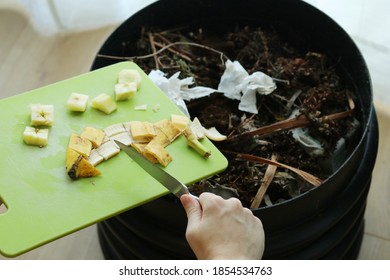 Using A Knife To Scrape Banana Peel And Apple Core Into An Indoor Wormery Compost Bin