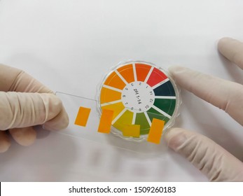 Using Litmus Paper To Measure PH.