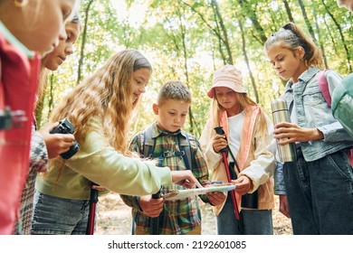 Using map. Kids in green forest at summer daytime together. - Powered by Shutterstock