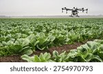 Using modern technology and drones to inspect crops in smart farming.