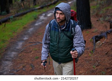 Using Nature To Keep Fit. Shot Of A Handsome Man Hiking In A Pine Forest Using Nordic Walking Poles.