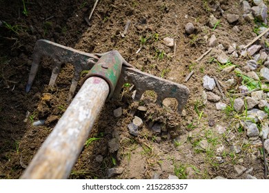 1,226 Comb rake Images, Stock Photos & Vectors | Shutterstock