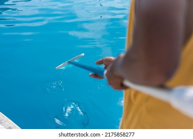 Using a skimmer to clean a swimming pool of litter. A fine mesh net with a long handle. Cleaning equipment for pool maintenance and upkeep. - Shutterstock ID 2175858277