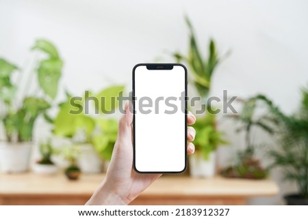 Using a smartphone before indoor potting
green plant
hand-held mobile phone