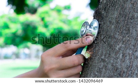 Using stethoscope for tree health check