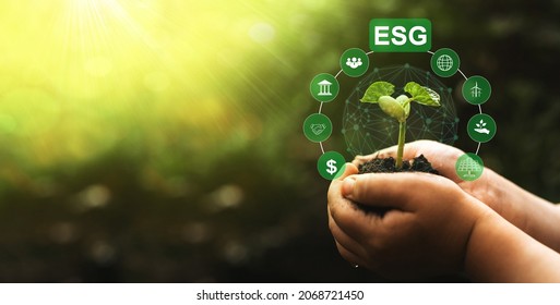 Using technology of renewable resource to reduce pollution. Hands holding grow plant with network connection and ESG icons. Environment social and 
governance in sustainable and ethical business.