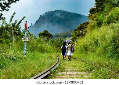 using train track to walk back from school