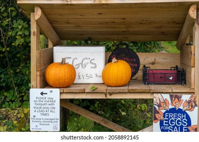 Usk, Monmouthshire Wales UK October 14 2021  Sporting Estate Farm Shop With Counter Selling Eggs And Seasonal Halloween Pumkins With Honesty Box