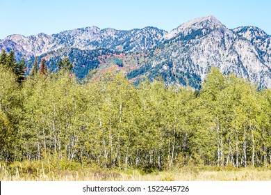 Utah Mountain Range In Full Fall Colors