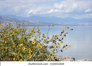 The Utah Mountains Close To Provo, UT