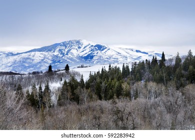 Utah Wasatch Mountains Near Salt Lake City With Snowcapped Peaks In The Winter Time