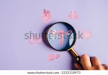 uterus female reproductive system, women health, PCOS, ovary gynecologic and cervical cancer, magnifier focus to uterus icon, Healthy feminine concept	