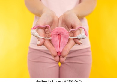 Uterus and ovaries. Uterus and ovaries in hands of a woman. They symbolize women's health. Female reproductive health. Women's sexual health. Reproductive system model uterus between two palms.