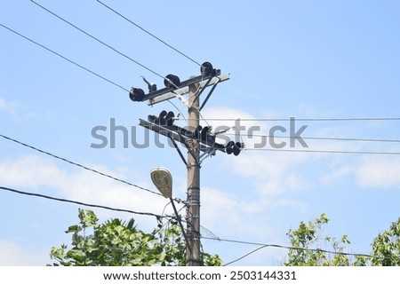 a utility pole with multiple electrical wires and insulators against a clear blue sky. The pole equipped with a streetlight.