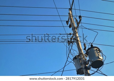 Utility pole with power line transformers and birds sitting on electric cables against clear blue sky.