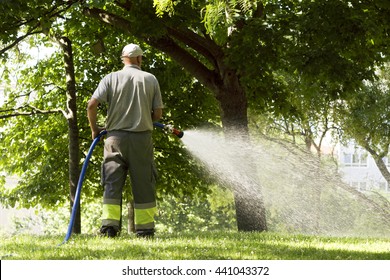utility worker gardener of municipality  with hose for watering the plants and trees  in city park