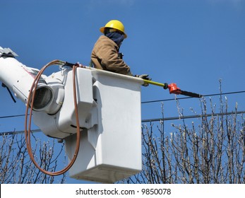 A Utility Worker Removes Tree Limbs From A Power Line Area While In A Bucket Truck Lift.