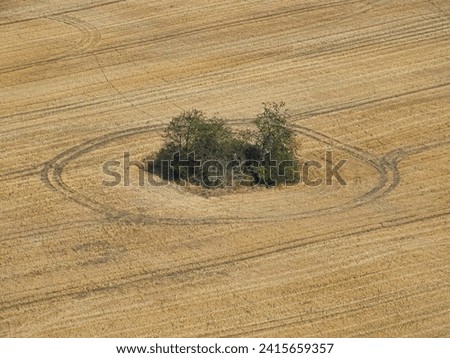 Utopic circles in a corn field.