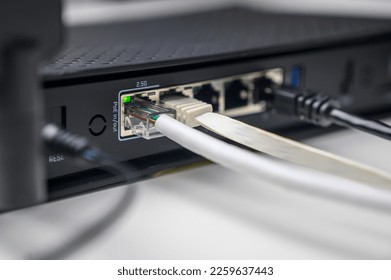 utp network cables connected in network switch on white table