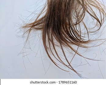 Uttarakhand,India-1June 2020:hair.hair On White Background.frizzy And Tangled.random Click Of Unshampooed Hair.uncombed.split Ends.hair Fall Disease.