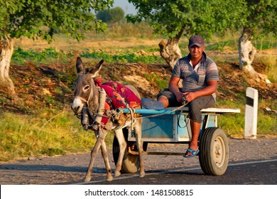 Uzbekistan. 08/04/2019. A local peasant rides on a donkey cart, which is the most common mode of transport in numerous villages