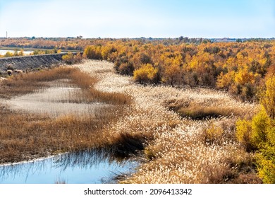 Uzbekistan, Landscape When Crossing The Amu Darya River.