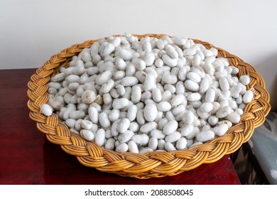 Uzbekistan, Raw Mulberry Silk Cocoons For Silk Production