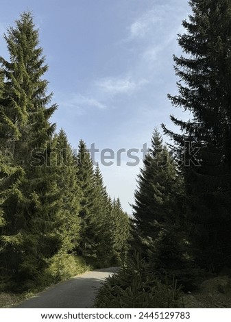 Similar – Image, Stock Photo Too late for summer?