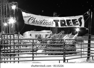 Vacant Christmas Tree Lot At Night