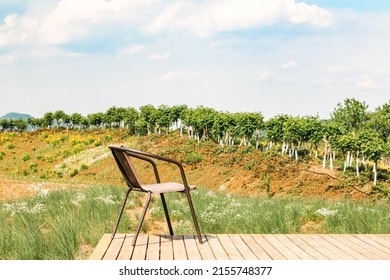 Vacant Metal Chair On Wooden Plank Outside, A Seat With A View Of Beautiful Natural Landscape Featuring Tree Line On Sunny Day, To Be At One With Nature