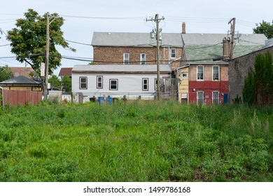 Vacant Lot With Overgrown Plants In Pilsen Chicago